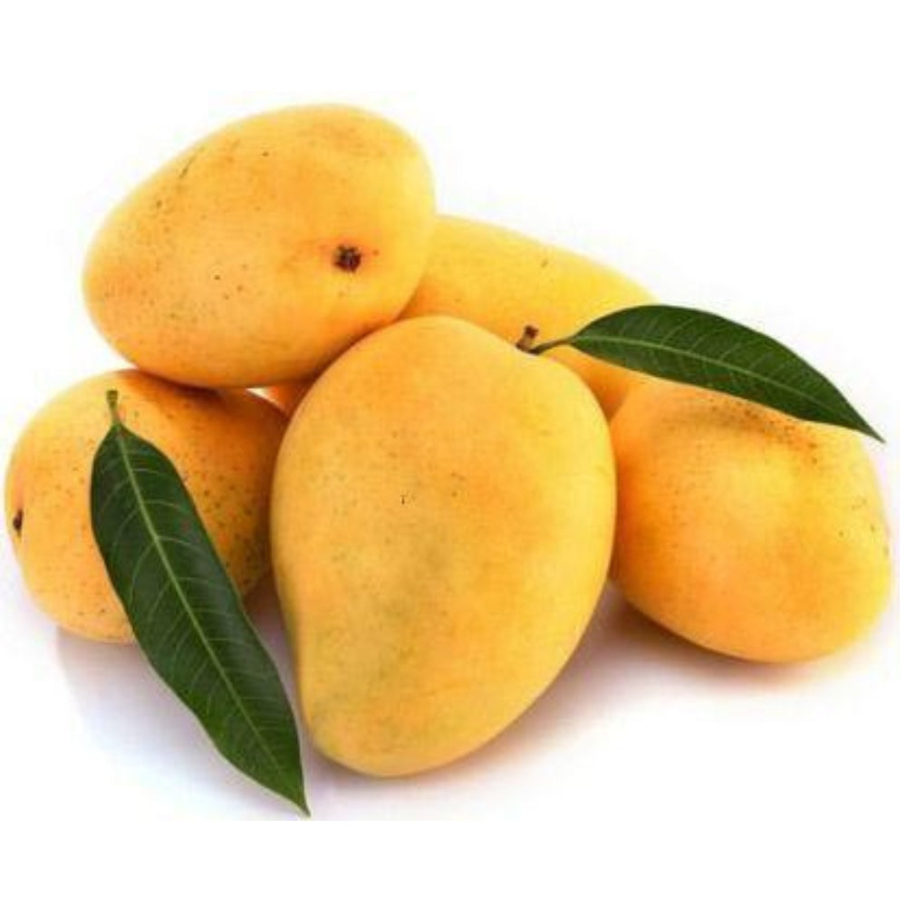 Banginapalli (Big - 4 Kg) – Safeda - The OG Mango of Royalty!